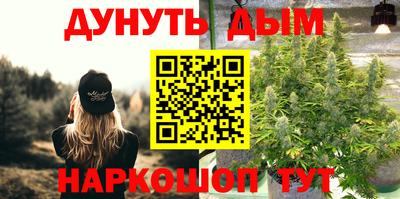 дмт Краснознаменск