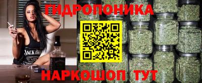 шишки Краснодар