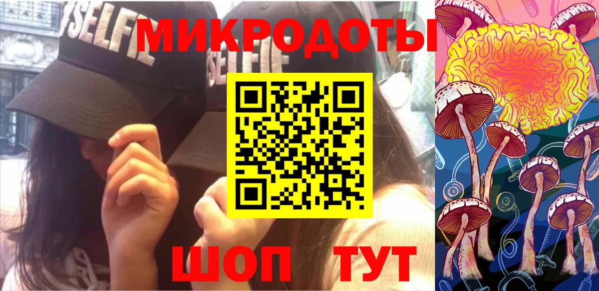 Кириши  Псилоцибиновые грибы Psilocybine cubensis  Вход с VPN 